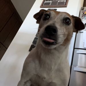 Meet your Posher, Garrett